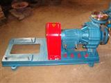 导热油泵-高温热油泵-热油泵