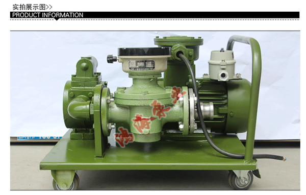 防爆计量抽油泵